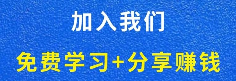 白菜价解锁20000+N个赚钱机会，加入轻创终点站会员，全站资源免费学习。-岩生的高级资料库