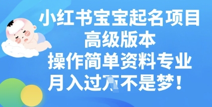 小红书宝宝起名项目高级版本,操作简单,资料专业,月入过W-岩生的高级资料库