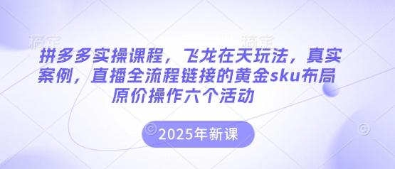拼多多实操课程,飞龙在天玩法,真实案例,直播全流程链接的黄金sku布局原价操作六个活动-岩生的高级资料库