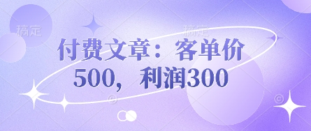 付费文章：客单价500，利润300-岩生的高级资料库