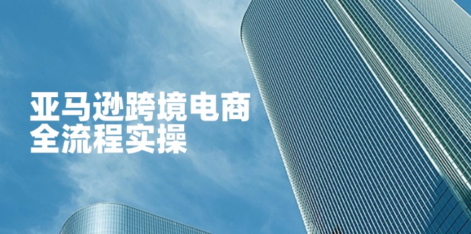 (14252期)亚马逊跨境电商全流程实操,教你从零开始,掌握店铺运营与广告技巧-岩生的高级资料库