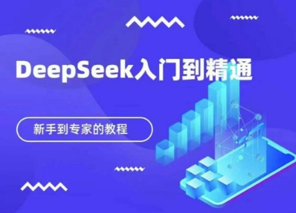 DeepSeek快速从入门到精通,新手的保姆级教程-岩生的高级资料库