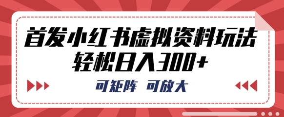 首发小红书虚拟资料玩法,可矩阵,可放大,轻松日入3张-岩生的高级资料库