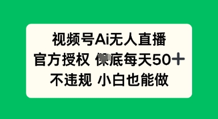 视频号AI无人直播，官方授权  每天50+，不违规 小白也能做-岩生的高级资料库