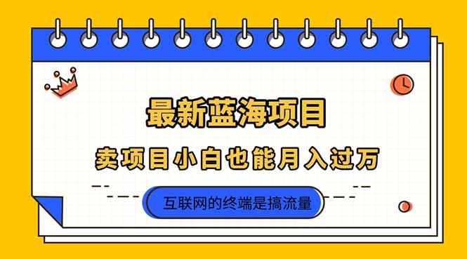 （14289期）2025年最新蓝海项目，卖项目小白也能月入过万-岩生的高级资料库
