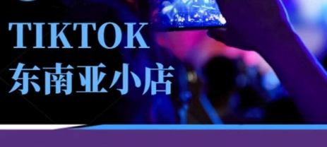Tiktok东南亚跨境小店运营班，一门专业的TK小店运营培训课-岩生的高级资料库