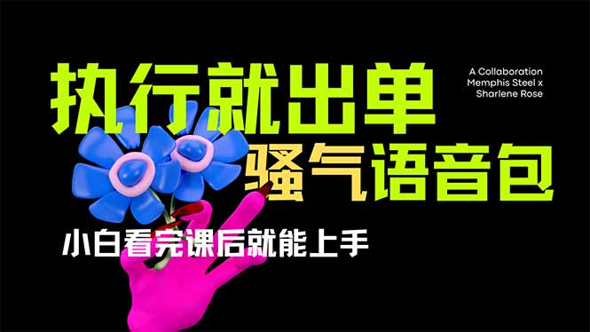 （14170期）爆火全网的开车导航骚气语音包,只要执行就出单，小白看完课程就能实操...-岩生的高级资料库