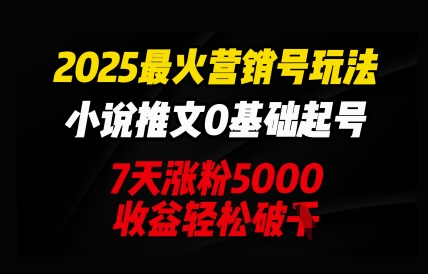 2025最火营销号玩法:小说推文0基础起号,7天涨粉5000,收益轻松破k-岩生的高级资料库