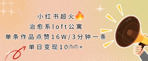 小红书超火的治愈系loft公寓，单条作品点赞16W，3分钟一条，单日变现数张-岩生的高级资料库