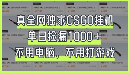 真全网独家CSGO挂G，单日捡漏1k+【揭秘】-岩生的高级资料库