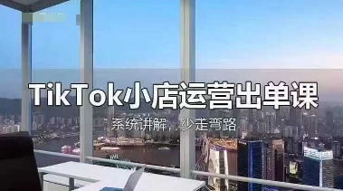 TikTok小店运营出单课，从开店选品、运营出单、发货回款，进行全流程讲解-岩生的高级资料库