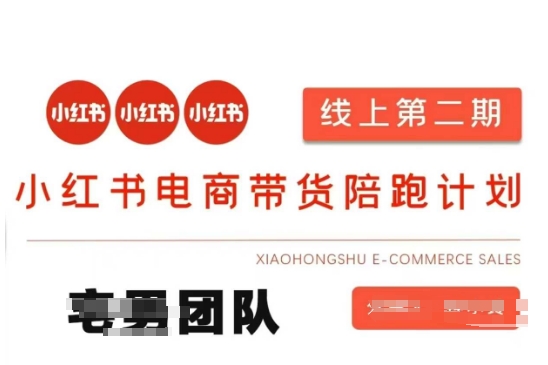 小红书电商带货课2期，月利润20个的小红书电商的有货源，无货源，虚拟产品，付费投流等整套玩法-岩生的高级资料库