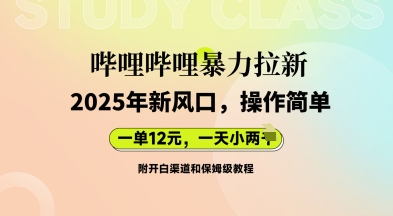 哔哩哔哩暴力拉新:2025年新风口,一单12元,一天数张(附开白渠道和保姆级教程)-岩生的高级资料库