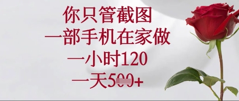 你只管截图,一部手机在家操作,一小时120.一天5张【揭秘】-岩生的高级资料库