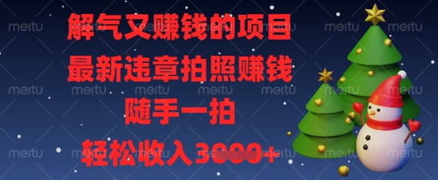 解气又挣钱的项目，最新违章拍照挣钱，随手一拍，轻松收入数张【揭秘】-岩生的高级资料库